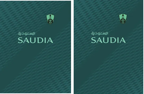 AL AHLI THIRD KIT 2018 19