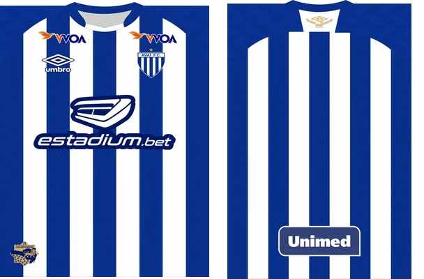 Avai Futebol Clube Local 2020 2021