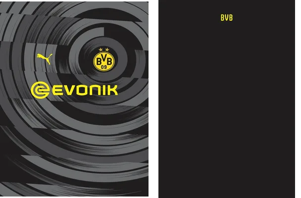 Borussia Dortmund 2022 Concept