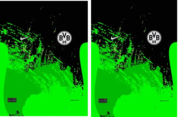 Borussia Dortmund Green Concept