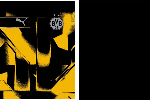 Borussia Dortmund Pre Match 2025