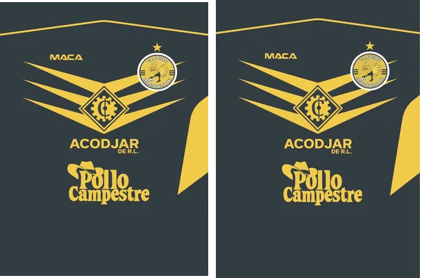 C.D. PLATENSE DESIGN