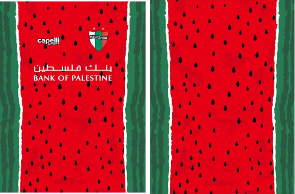 CD Palestino Tercera 2025