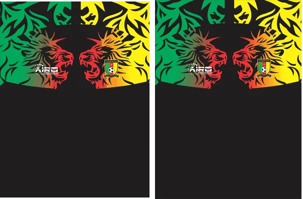 Camerun Third Kit 24 25