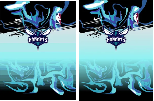 Charlotte Hornets Splash Concept