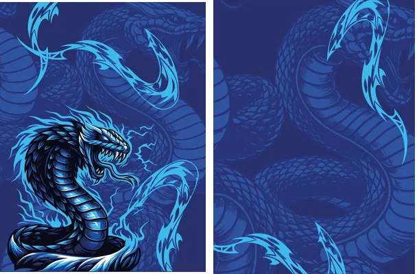 Cobra Interclasse 2025 Q 1