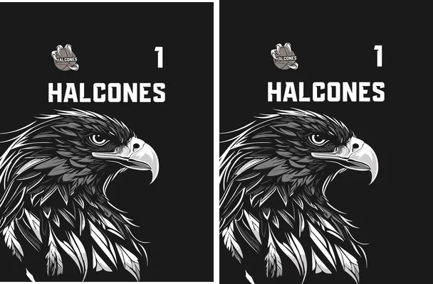 Design Halcones Basketball