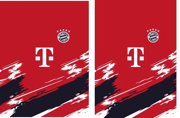 FC Bayern Concept Basic
