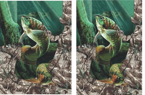 FISH TEXTURE