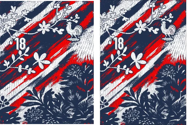 FRANCIA CONCEPT