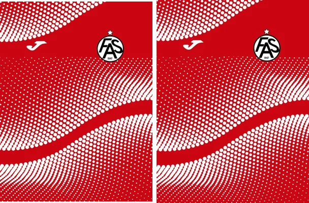 Fas Concept VS