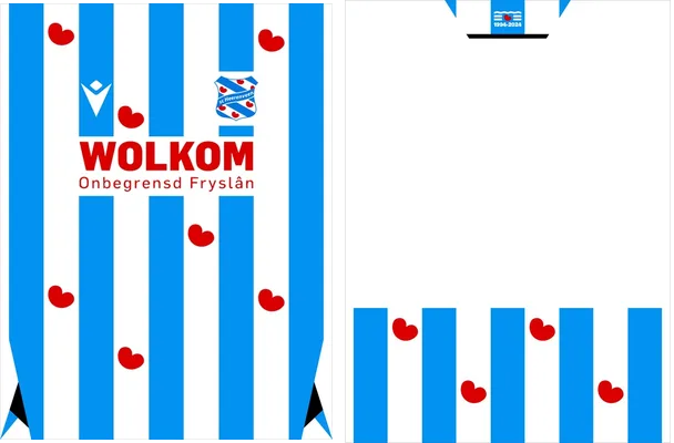 Heerenveen Home Kit 24 25 Q 1