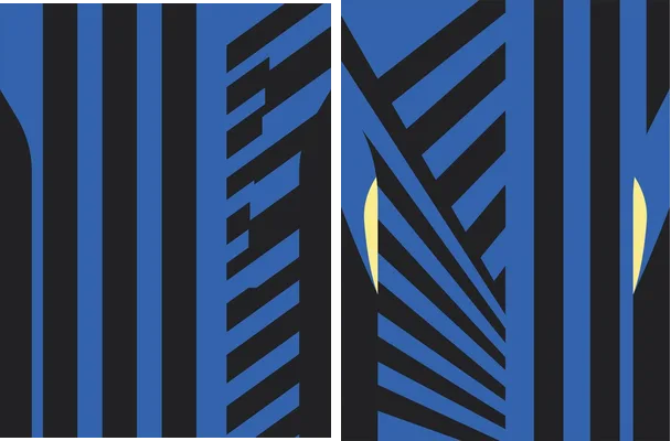 INTER MILAN LOCAL 2024 2025