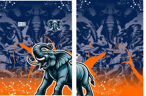 Interclasse Team ELEFANTE