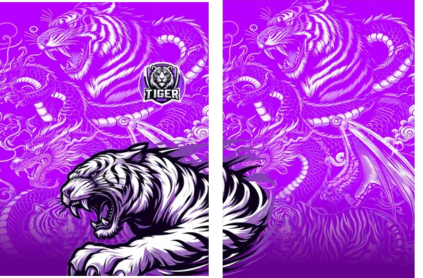 Interclasse Tiger