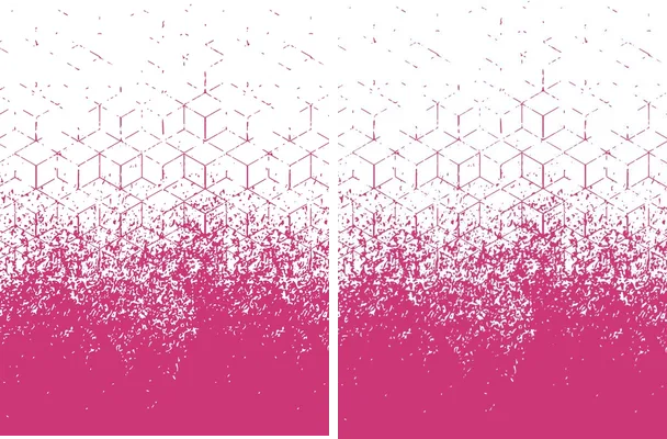 JERSEY ROSA