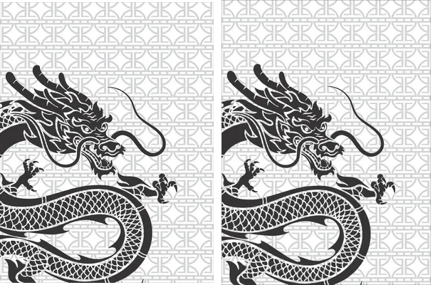Jersey Blanco Dragon
