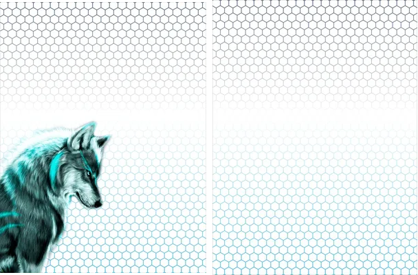 LOBO JERSEY