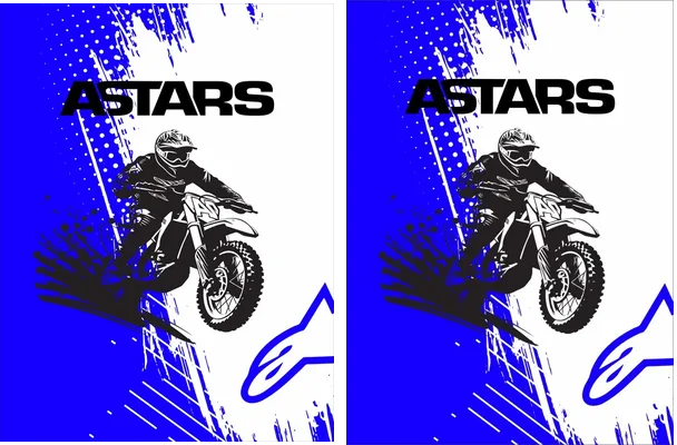 Motocross Alpinestars 24