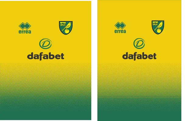 Norwich City 2019