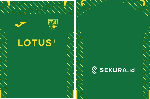 Norwich City Visita 2023 2024