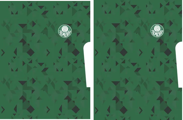 PALMEIRAS DESIGN GEOMETRIC