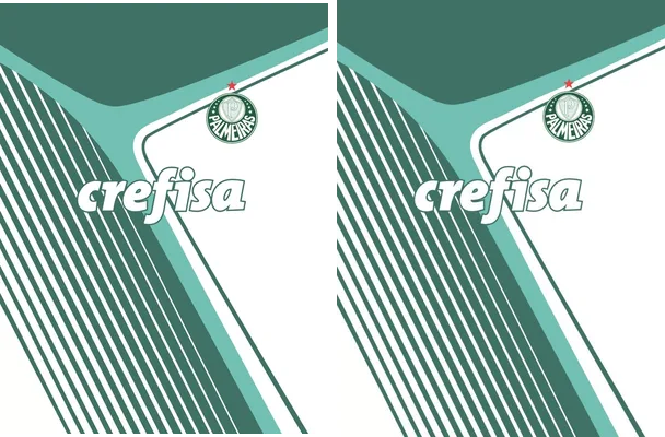 Palmeiras Concept