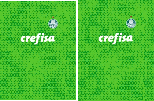 Palmeiras Entremaniemto 2023 24