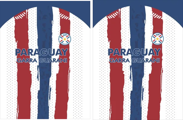 Paraguay APF Design Concept