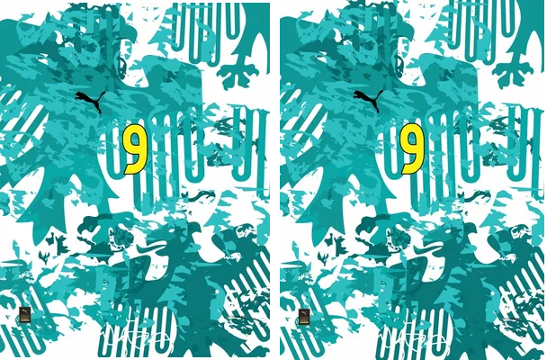 Puma Jersey Bitono PRO