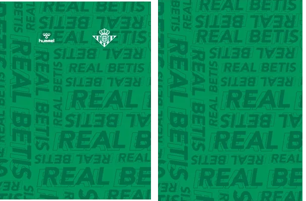 Real Betis Pre Match 2023 2024