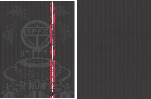 SAO PAULO CONCEPTO ESTADIO 2024