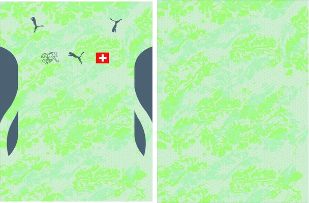 SUIZA VISITA 2026