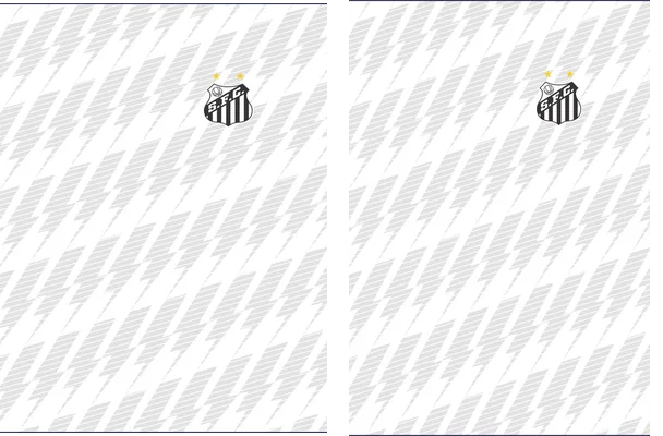 Santo fc 2021 2022
