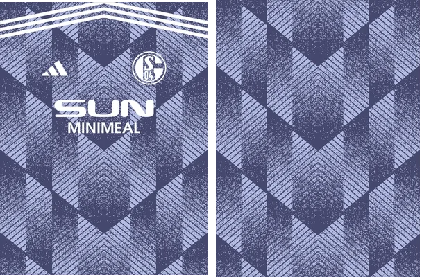 Schalke 04 Alternativa 24 25