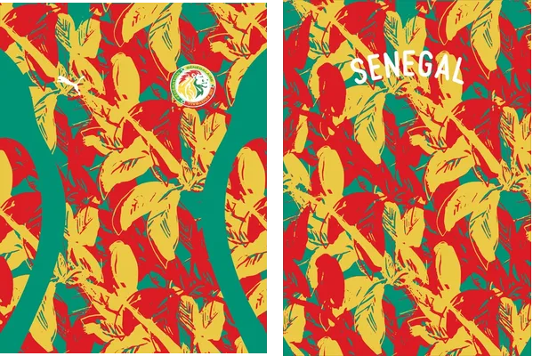 Senegal Pre Match 24 25