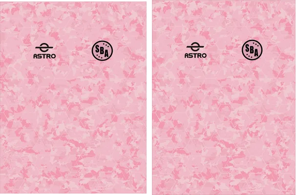 Sport Boys 2022 23 Rosa