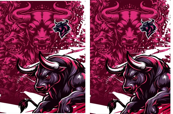 Team BULL