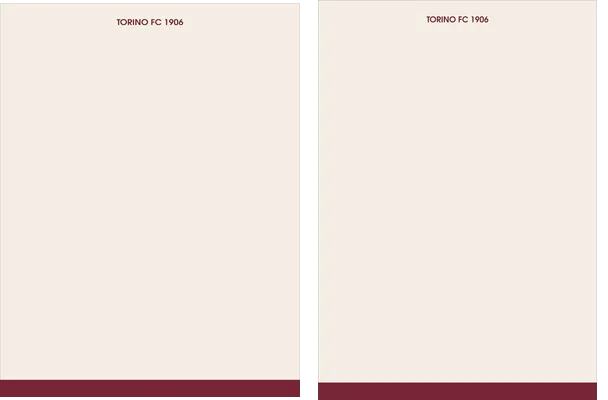 Torino FC Visita 2023 2024