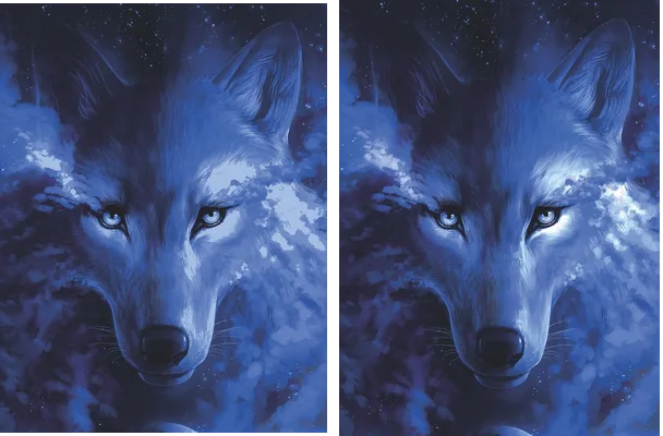 WOLF DESIGN COLOR