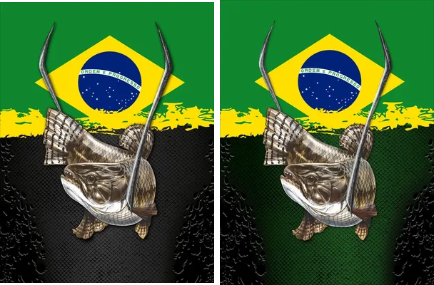 brasil design