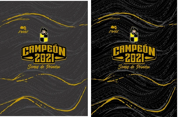coquimbo unido campeon vector frre download