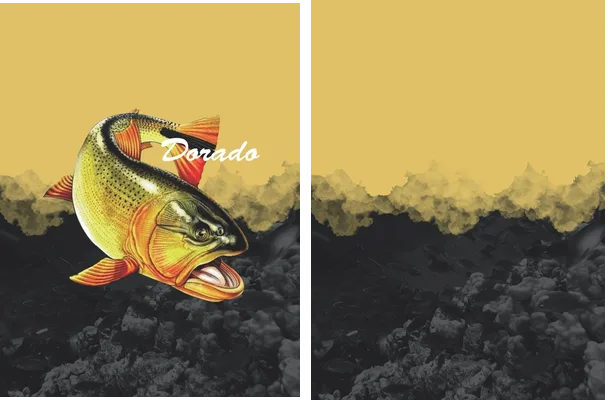 dorado design pesca