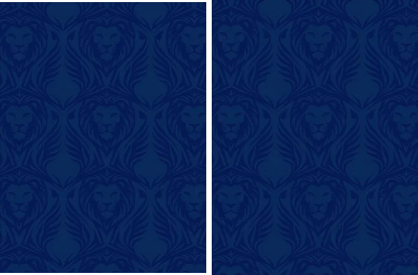 jersey pattern leon 2