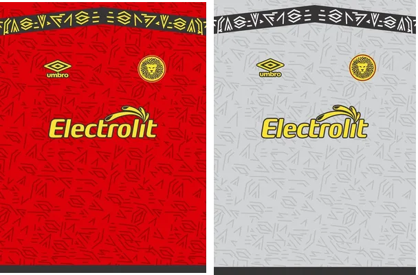 leones negros 2019 20