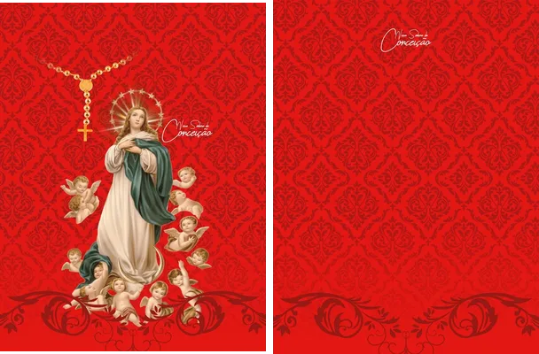 nuestra senora de la concepcion
