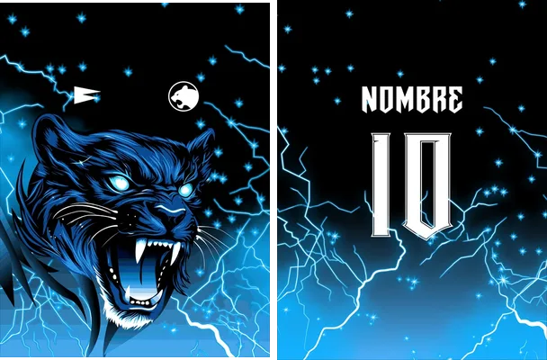pantera blue interclasse concept