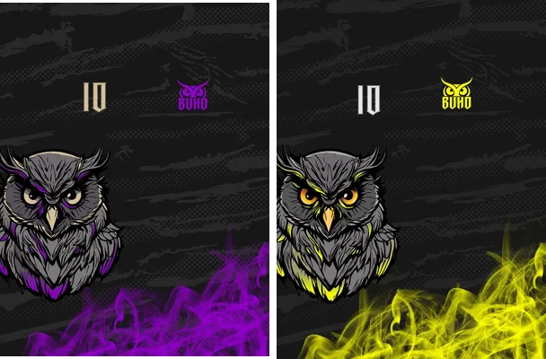 pattern buho sports concept