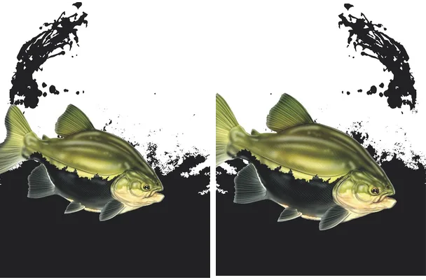 pesca design