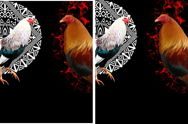 rooster designs concept